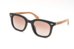 SUNGLASSES Es Canaret Black - GRADIENT BROWN