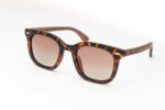 SUNGLASSES Es Canaret Demi Brown - GRADIENT BROWN